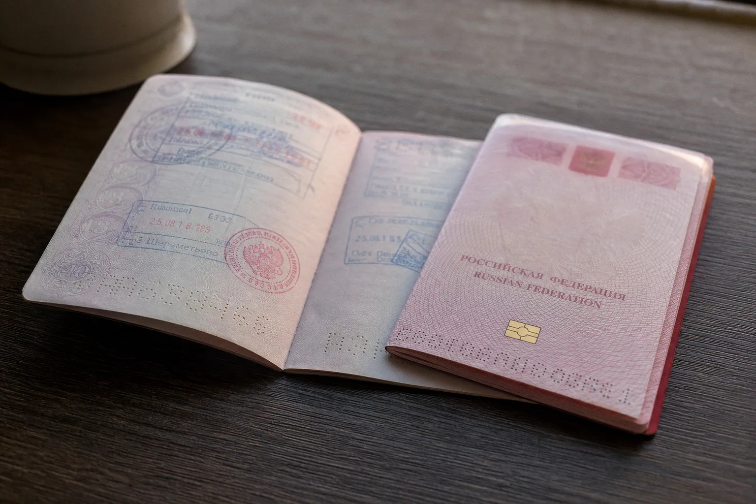 Старый загранпаспорт или биометрия: что надежнее в 2025 году?